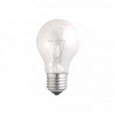 Лампа накаливания A55 240V 75W E27 clear (Б 230-75-5) JazzWay 3320478